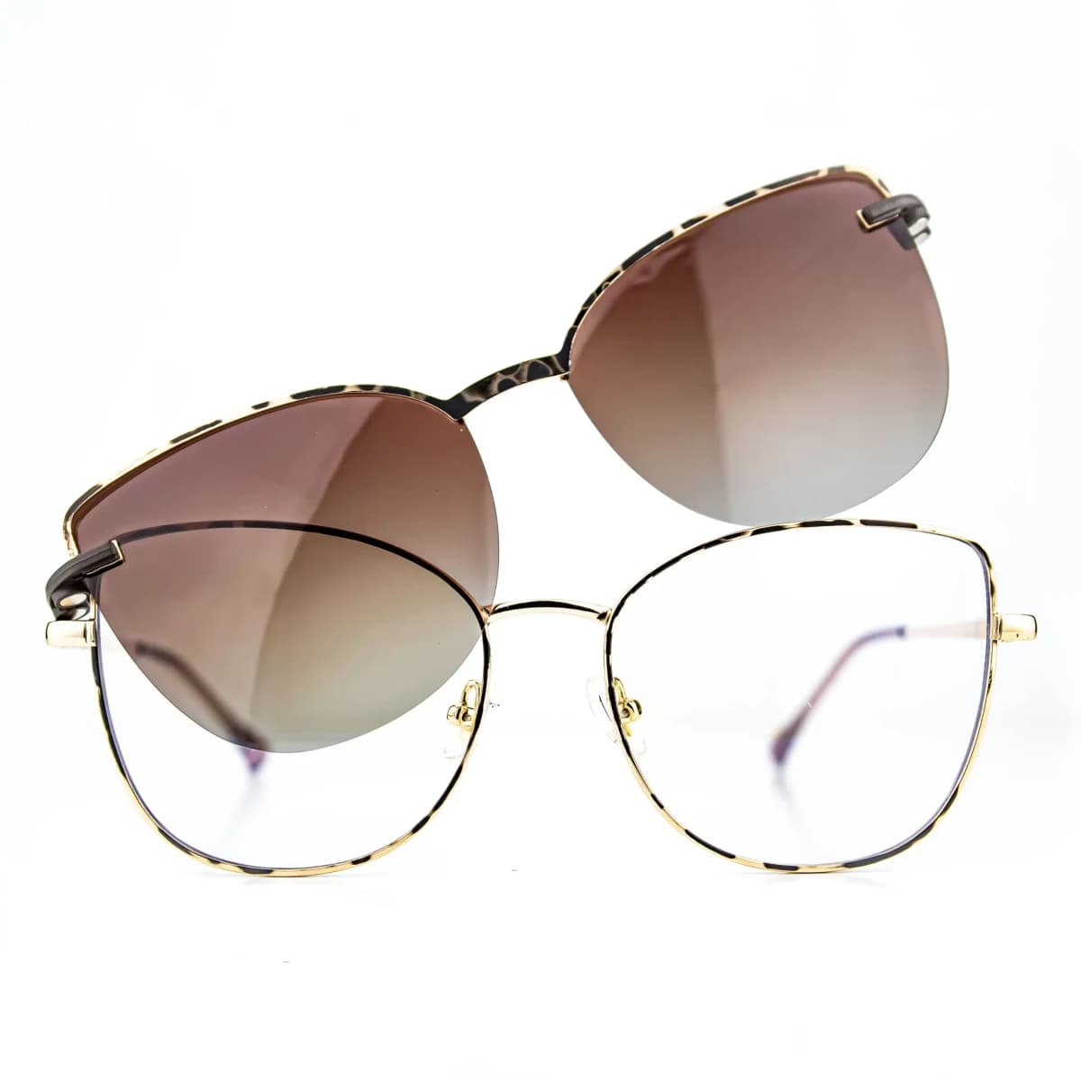 Leah Doble uso/Leopard 2